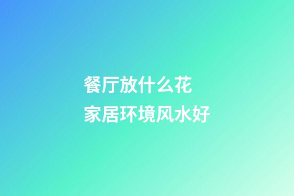 餐厅放什么花 家居环境风水好